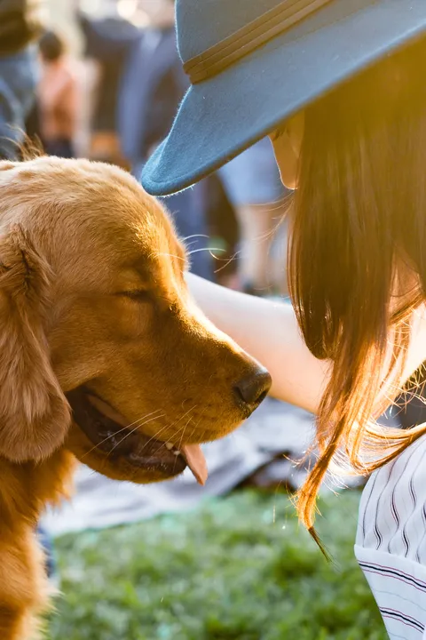 Votre animal de compagnie est aussi notre invité...